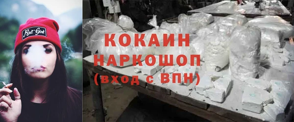 гидра Аркадак