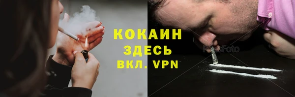 гидра Аркадак