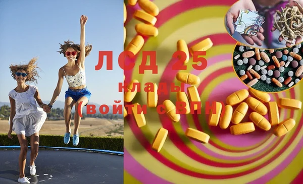 мяу мяу мука Новодвинск