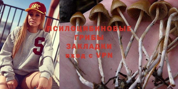бутират Алексеевка