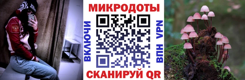 Галлюциногенные грибы Cubensis  купить  цена  Спас-Деменск 