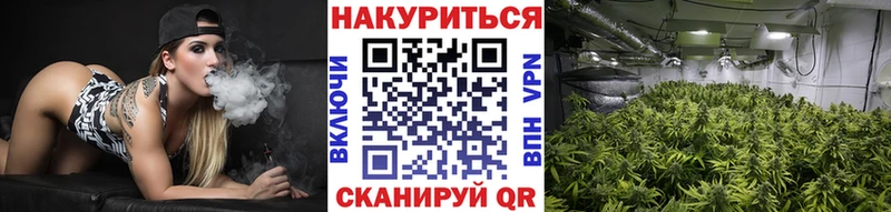 Бошки Шишки ГИДРОПОН  Спас-Деменск 